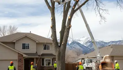 Professional crew performing safe tree removal with bucket truck in Salt Lake City, Utah