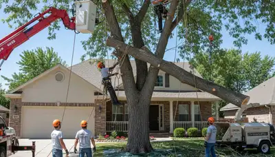 Arborists using bucket truck for large tree removal in Magna near Salt Lake City, UT homes